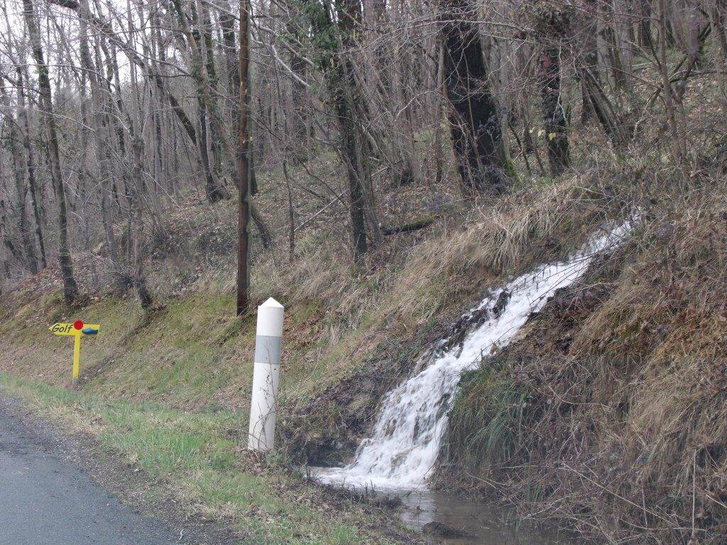 DSCF0041