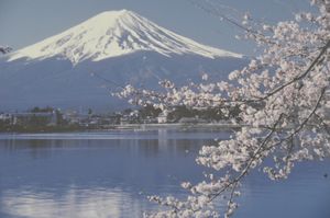 blog_fu2