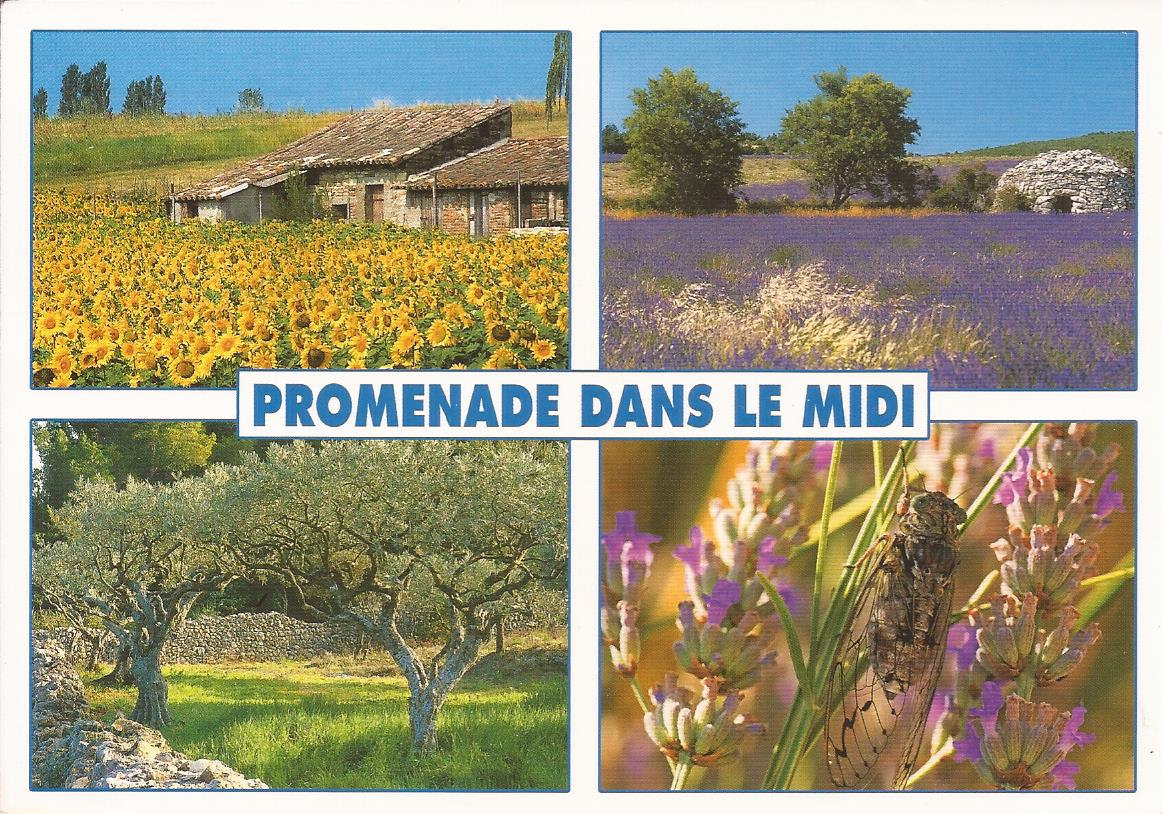 Promenade dans le midi