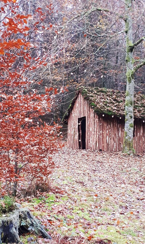 La cabane des charbonniers