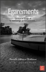 egarements-ebook-cover