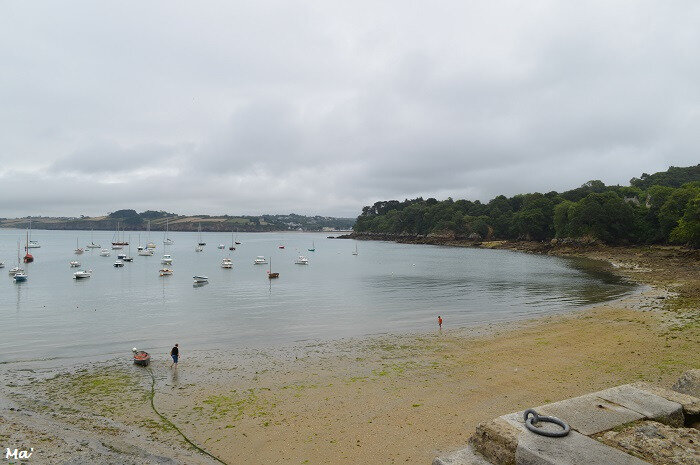 180814_douarnenez_7