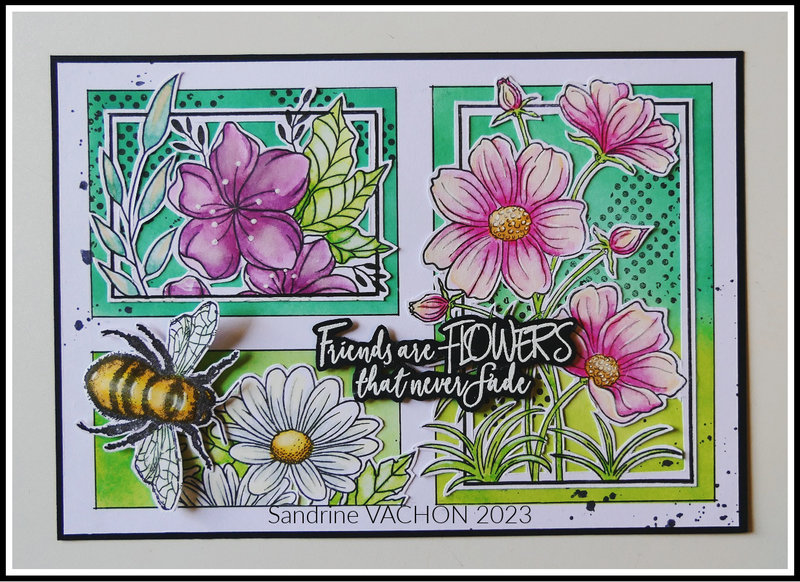 Sandrine VACHON Moodboard PCC juin (1)