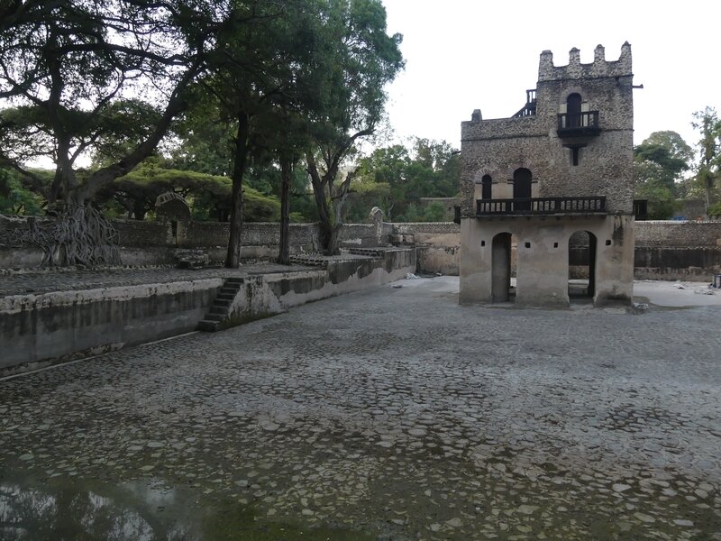 P1030828