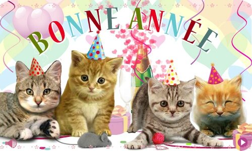 chats bonne année