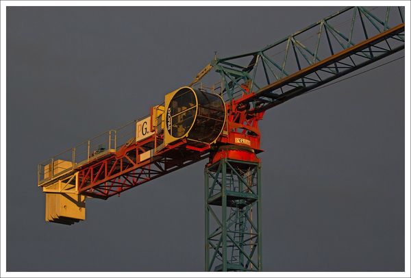 Grue lumiere matin 300113