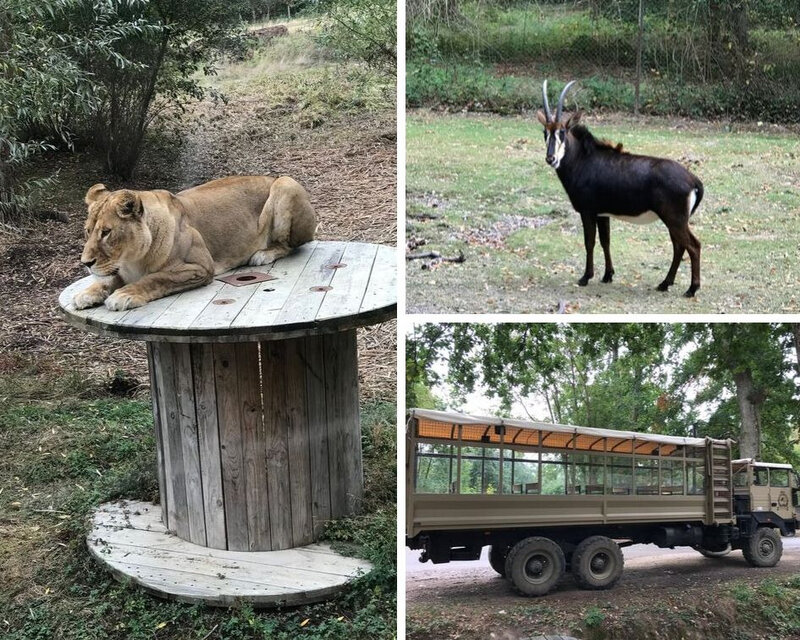 Safari en camion brousse ©Kid Friendly