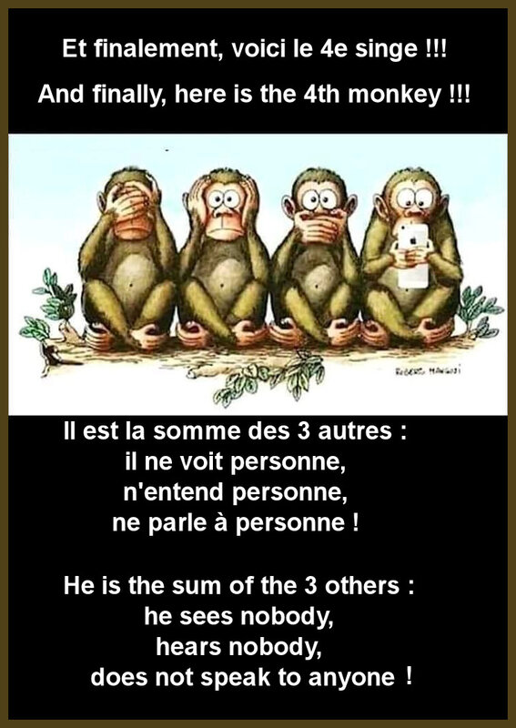 les 4 singes