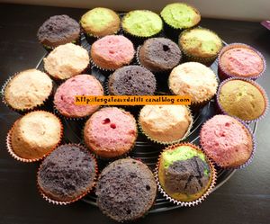 12 10 27 - cupcakes halloween - recette (48bis) (2)