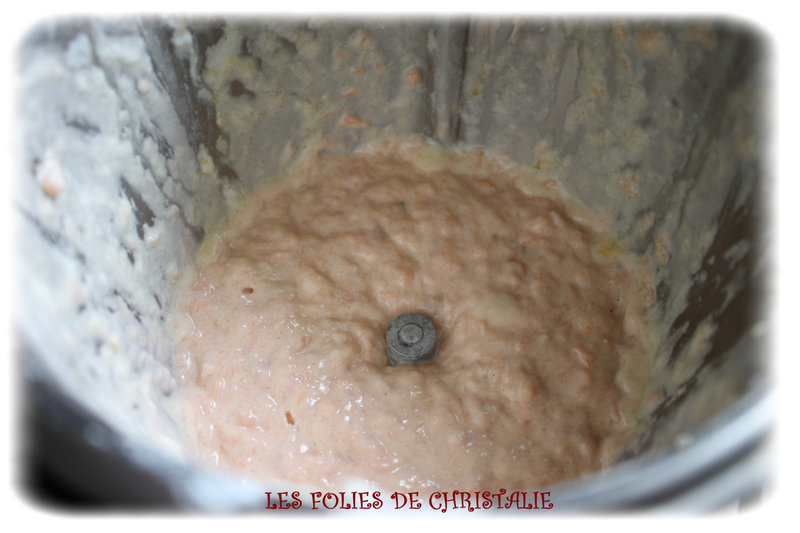 Terrine bicolore 2