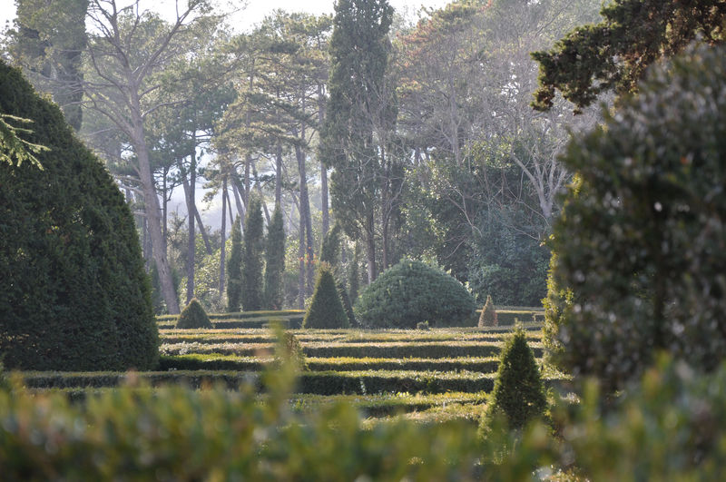 Restinclières Jardin à la française