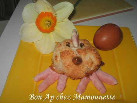Copie_de_Cocottes___la_noix_de_coco__dr_les_de_bestioles_quand_m_me_007