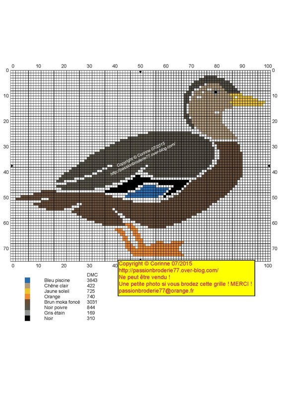 Duck