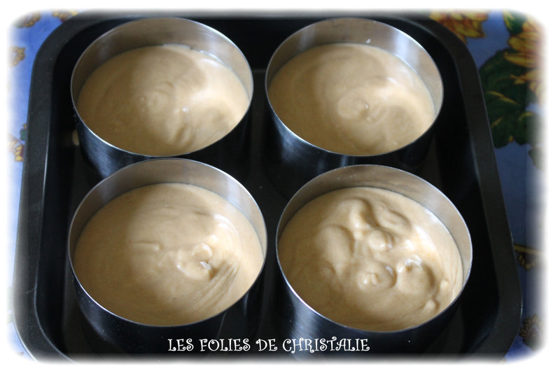 Petit bavarois abricots 4