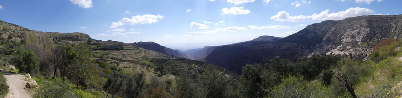 P1000659