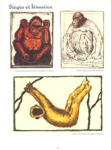 gravures_singes