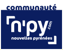 logo npy