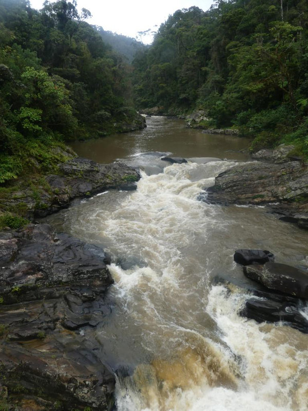P1230561