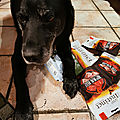 Mon test #AlimentationNaturelleTI #TrueInstinctFR via le site #TRND : croquettes et friandises pour mon chien !!!