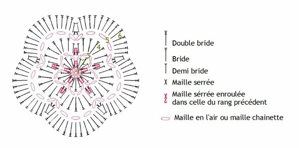 diagramme fleur