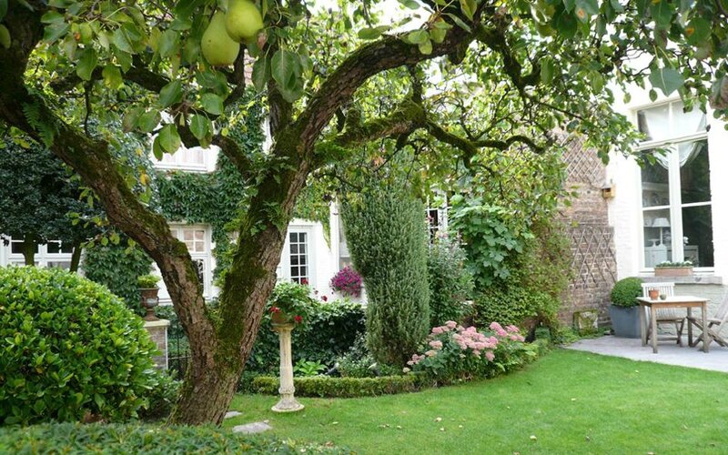 Cote-Canal-Huyze-Bruges-tree-xxlarge