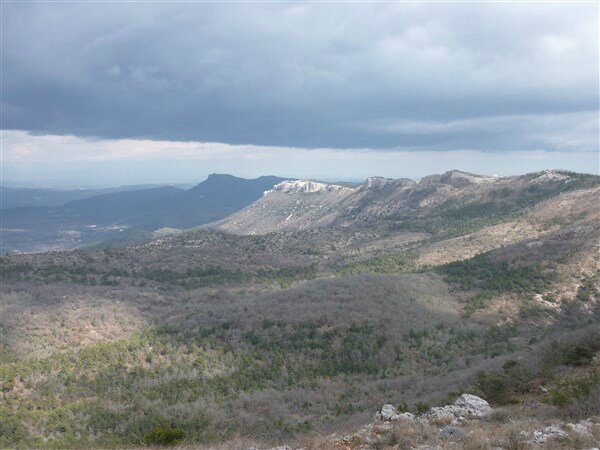 P1030549