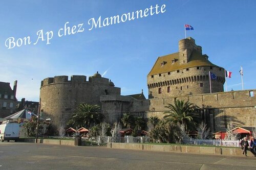 vendredi 18 déc 2015 superbe temps à st Malo au marché noël 007