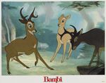 bambi_photo_us_1980s_005