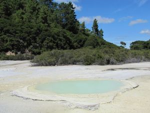 Rotorua (53)