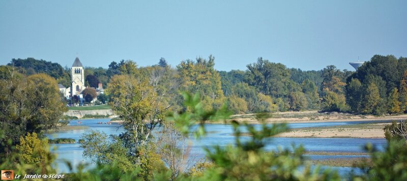 Reflet-de-Loire-en-automne-4