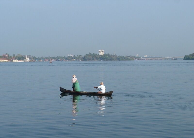 Pêche du matin sur le Vembanad