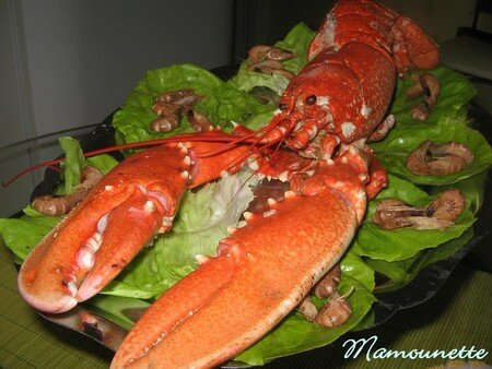 Homard_cuit_au_vivier_005