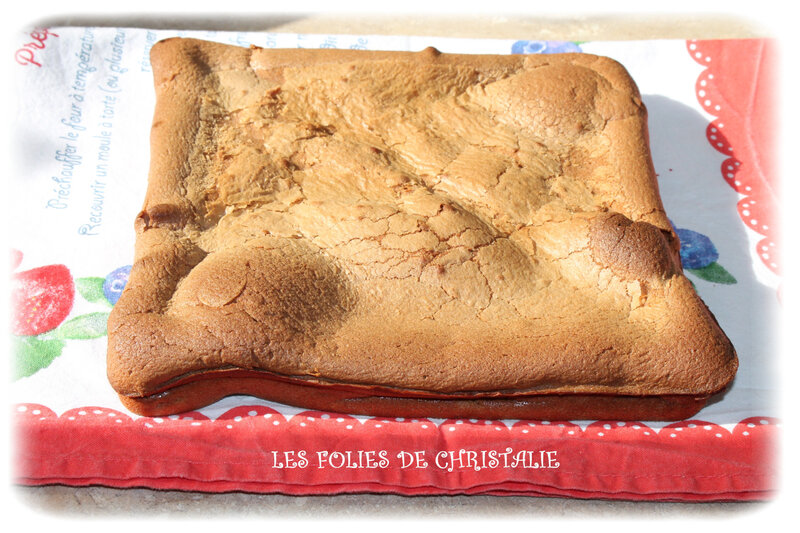 Brownie 1