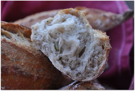 recettes legumes Petits pains aux graines au levain + levure