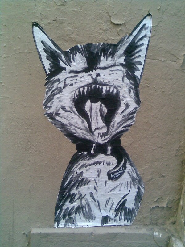 Le chat a faim, il miaule, griffe et sourit ...