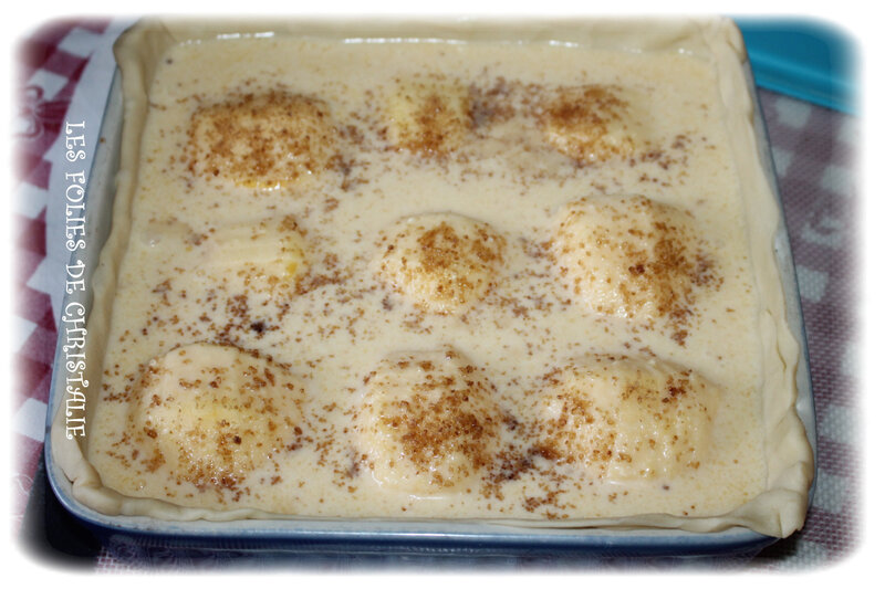 Tarte aux pommes fossiles 5