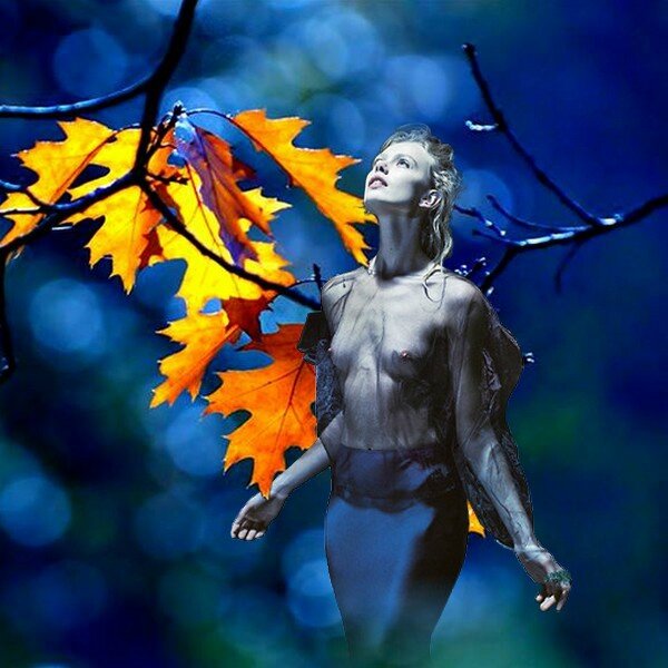 L'automne se profile