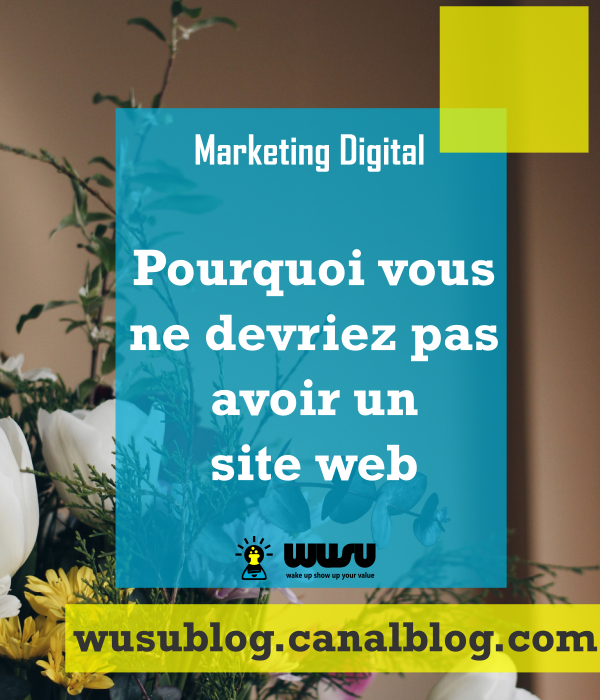 marketing-digital-winniendjock-siteweb-wusu-blog-2017