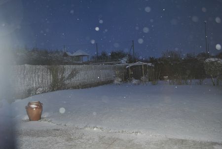 neige le 12 mars 2013 008