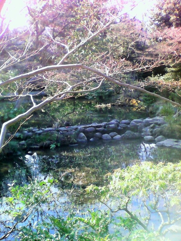 Nezu musee jardin (2)