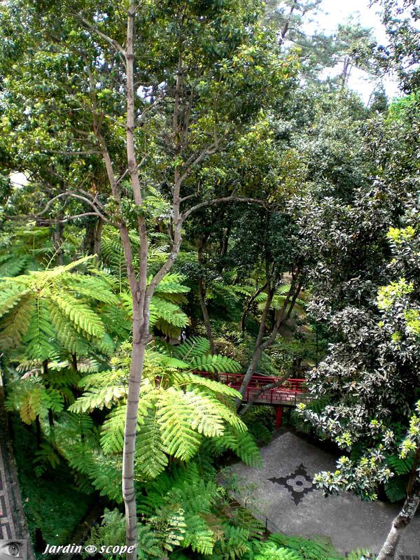 8653-Jardin-Tropical