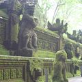 Ubud : Sacred Monkeys Forest