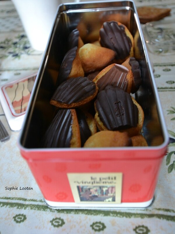 Madeleines coques chocolat