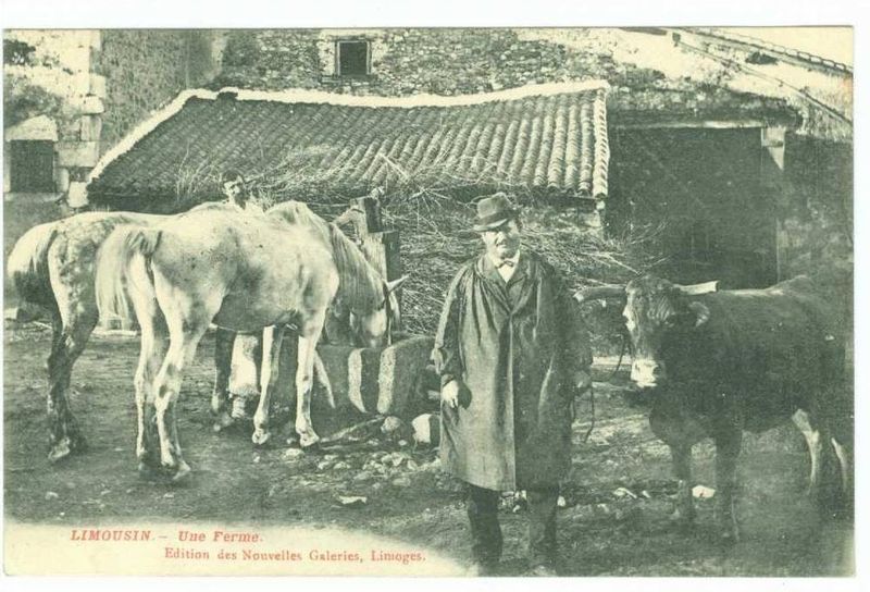 PAYSAN 1