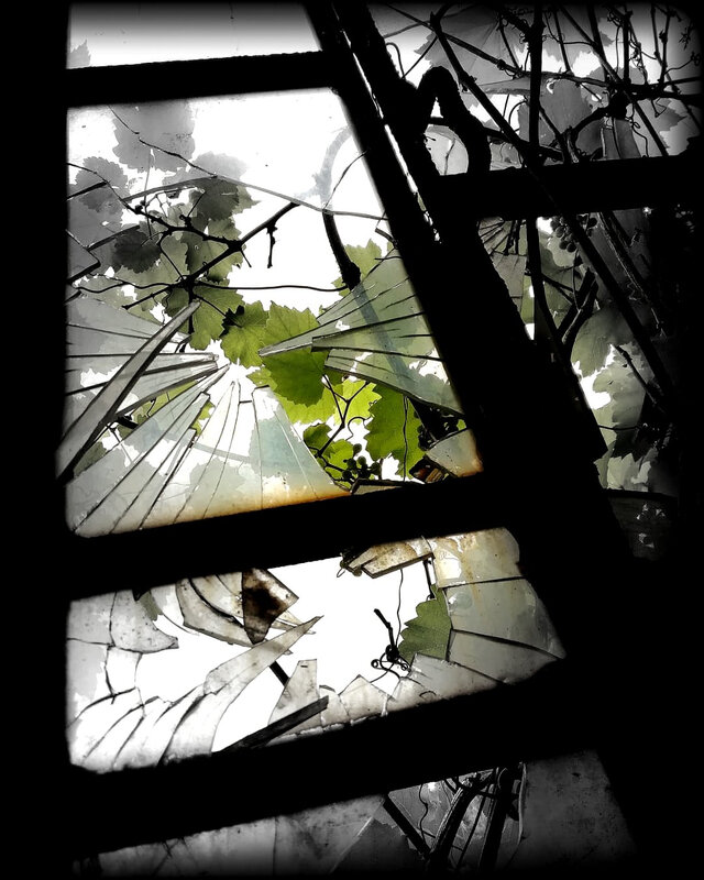 magnificent_entropy