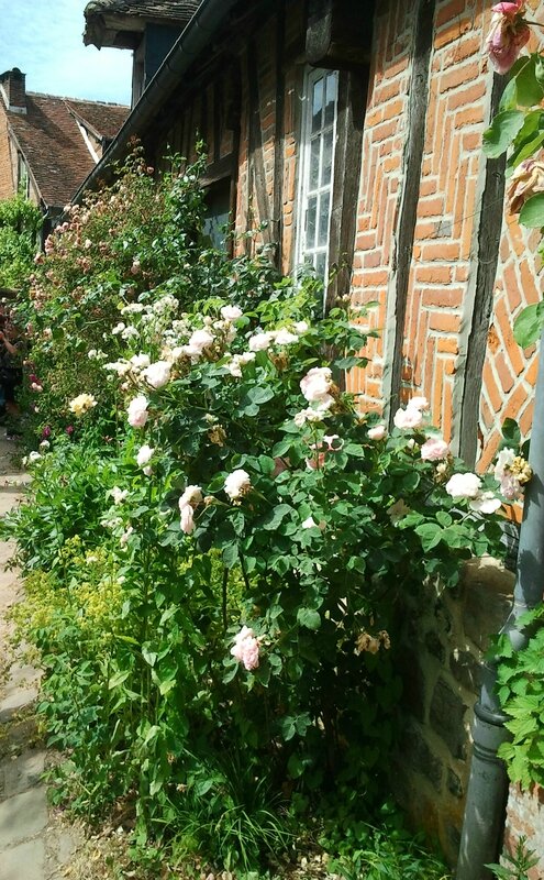 Photo0819