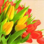 IHR L-459900 Tulips Bouquet