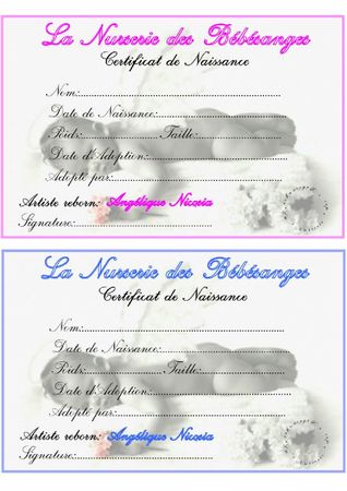 Montage certificat de naissance