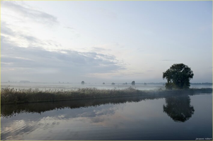 brouillard flamand jacqhes robert vuesdunord skynetblogs be