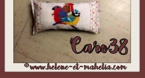 11 caro38_salmai17